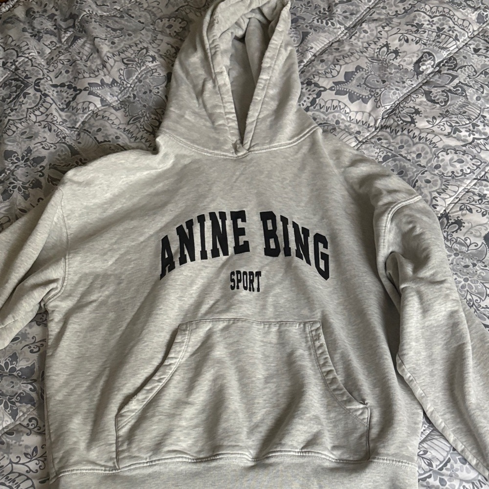 Anine Bing Sport Light Gray Hoodie